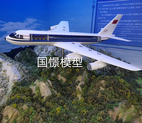温岭市飞机模型